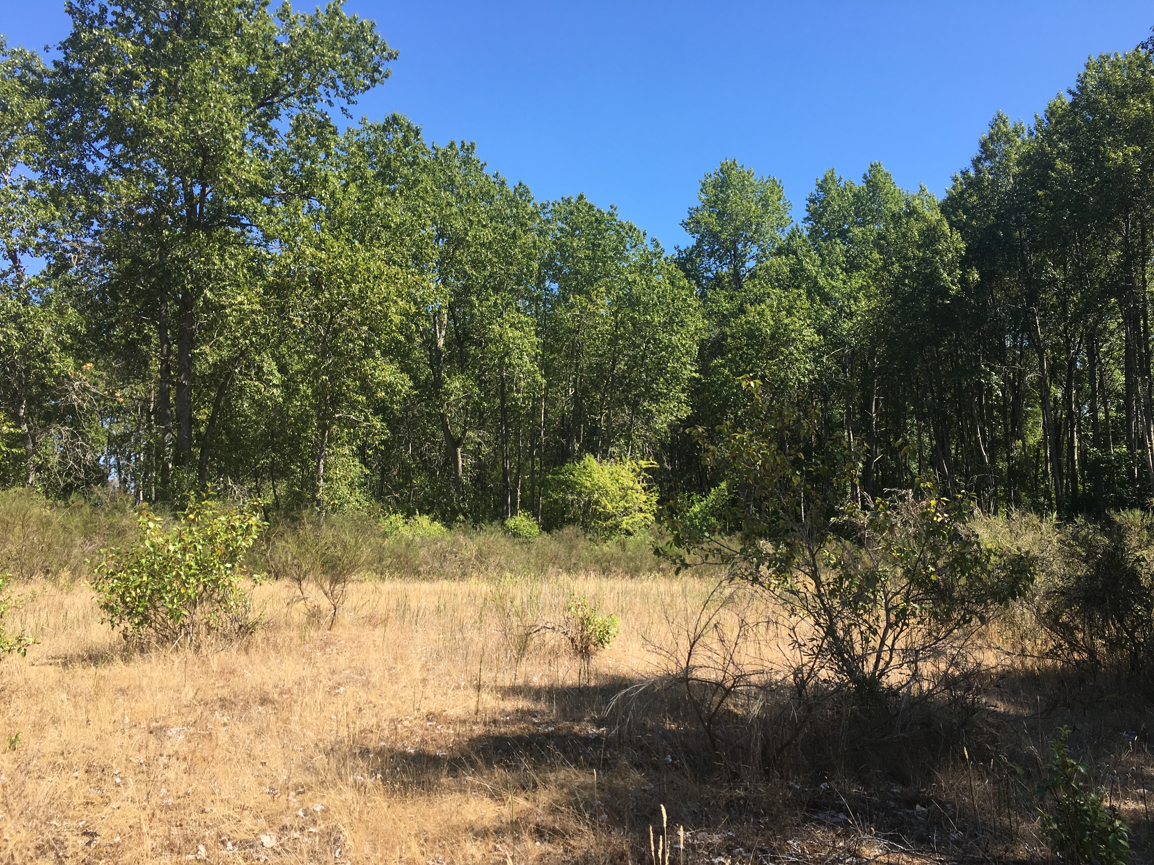Walker Island West (OR) Estuary Partnership